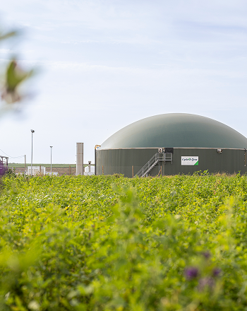 Affordable and clean energy