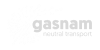 Gasnam logo